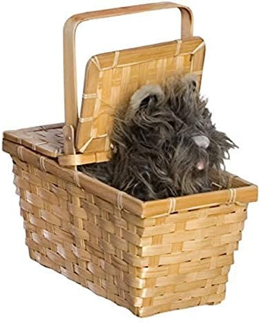 Rubie's Wizard of Oz Dorothy's Toto In A Basket Costume Accessory | Amazon (US)