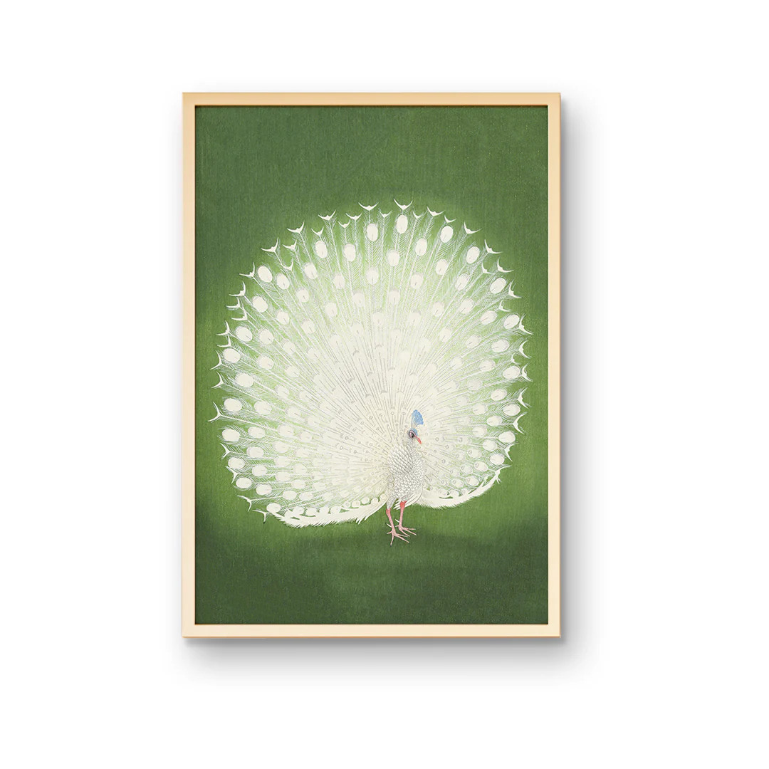 Peacock Fan | High End Chinoiserie Wall Art | Urban Garden Prints
