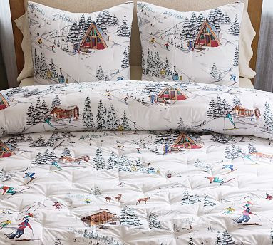 Whistler Run Comforter | Pottery Barn (US)
