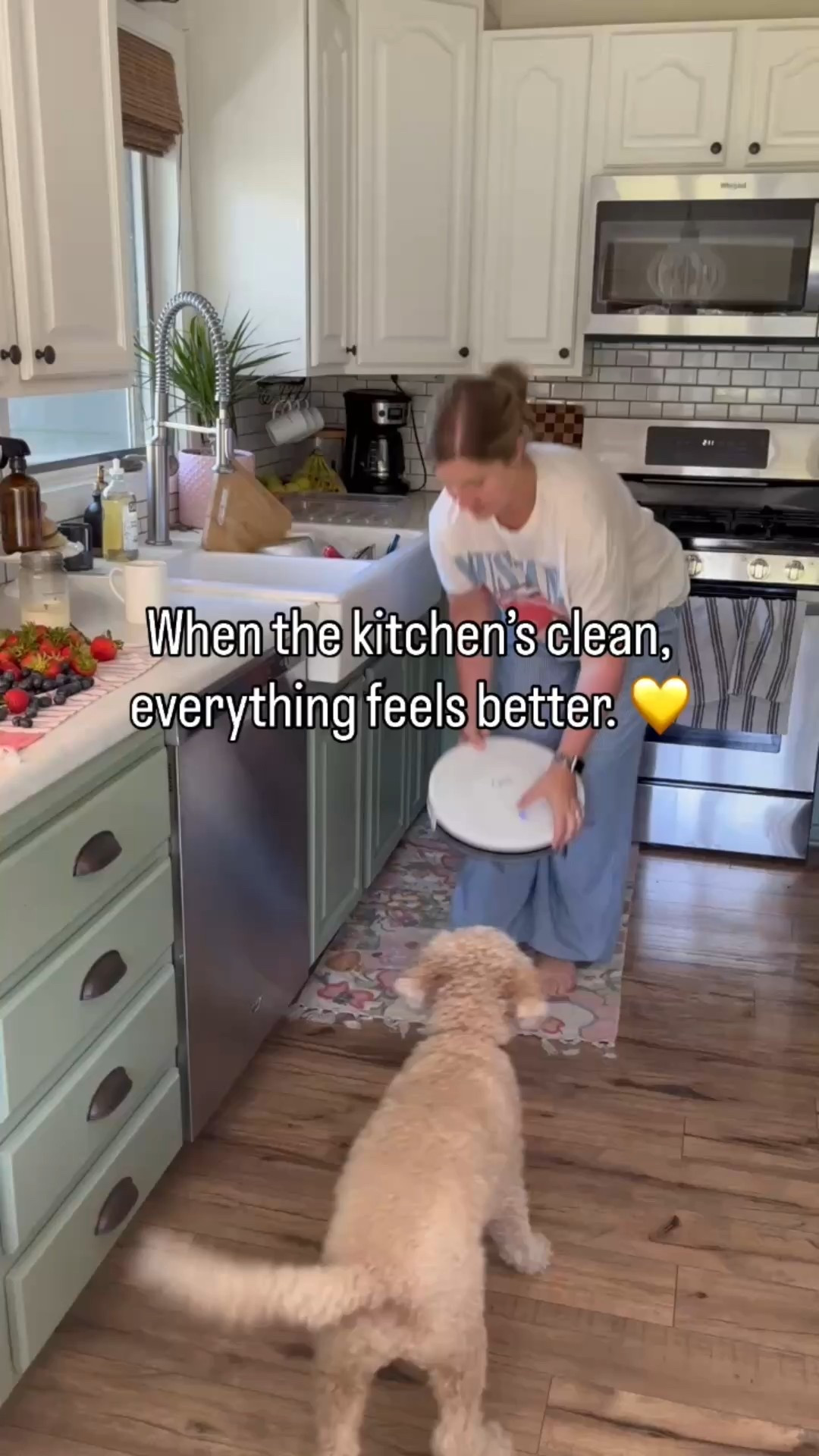 A clean kitchen makes all the difference in my mood! Love these all natural cleaners from better life!
