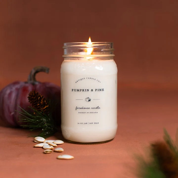 Pumpkin & Pine 16 oz candle - Antique Candle Co.®️ | Antique Candle Co.