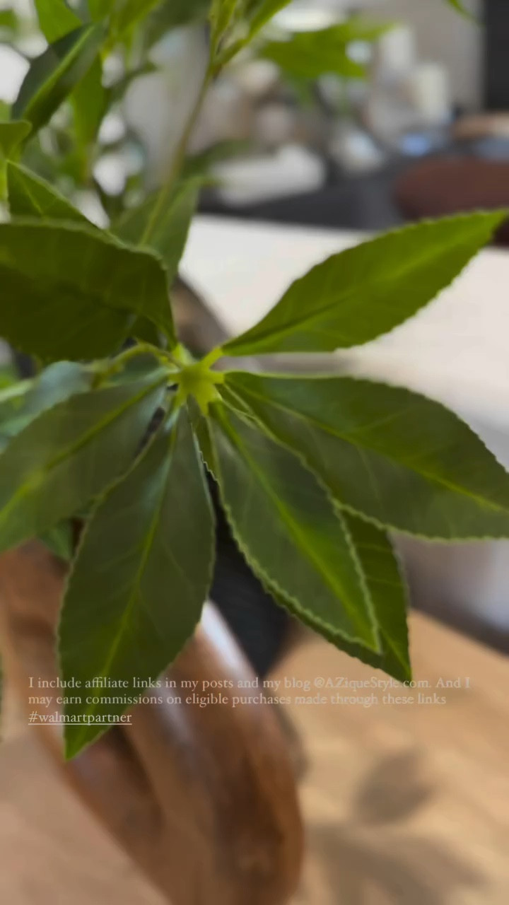 🍀🧡💯Talking about faux stems, which I am personally was not a fan of before I met those guys – so realistic, that even at a closer look you still doubt – are they actually fake? My friends typically do not even realize that those stems are faux until they ask:) My most loved!#aziquestyle #walmart #walmartpartner #fauxstems #interiordesign #homestyling

#LTKVideo #LTKHome #LTKGiftGuide