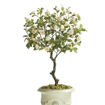 Indoor/Outdoor Camellia Faux Plant with Lifelike Flowers & UV Protection | Frontgate