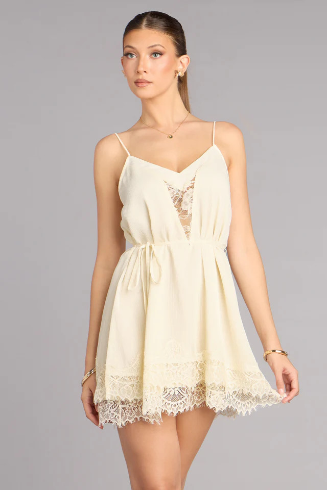 Pretty Plans Chiffon And Lace Skater Dress | Windsor Stores