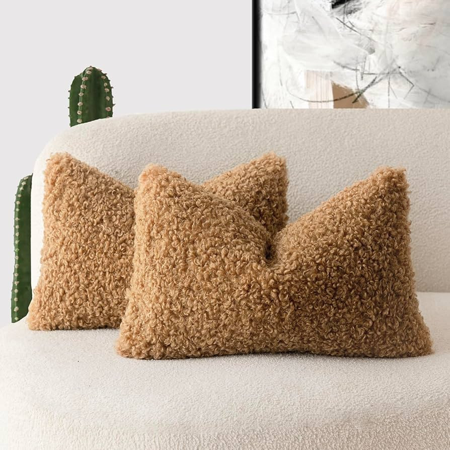 Foindtower Set of 2 Curly Teddy Wool Pillow Covers Decorative Boucle Textured Lumbar Throw Pillow... | Amazon (US)