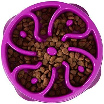 Outward Hound Fun Feeder Dog Bowl Slow Feeder Stop Bloat for Dogs | Amazon (US)
