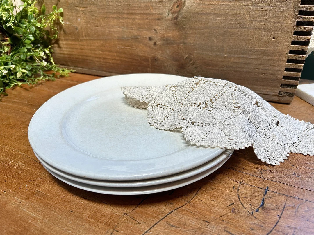 Adorable Rustic Set of 3 Unmatched Antique White Ironstone Plates Perfect Farmhouse Decor - Etsy | Etsy (US)