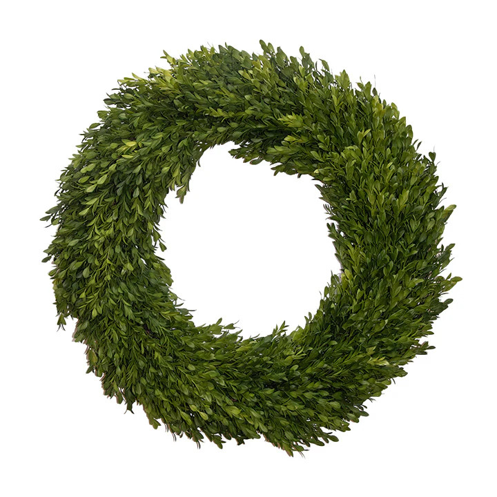 Round Boxwood Wreath 24" | Fig and Dove