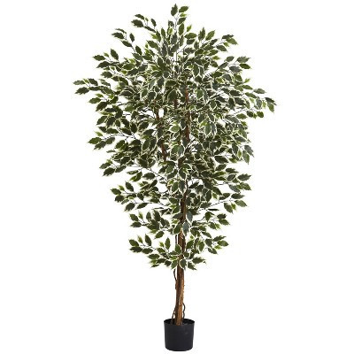 HomeStock  6 ft. Artificial Ficus Tree in Pot for Indoor/Outdoor | Target