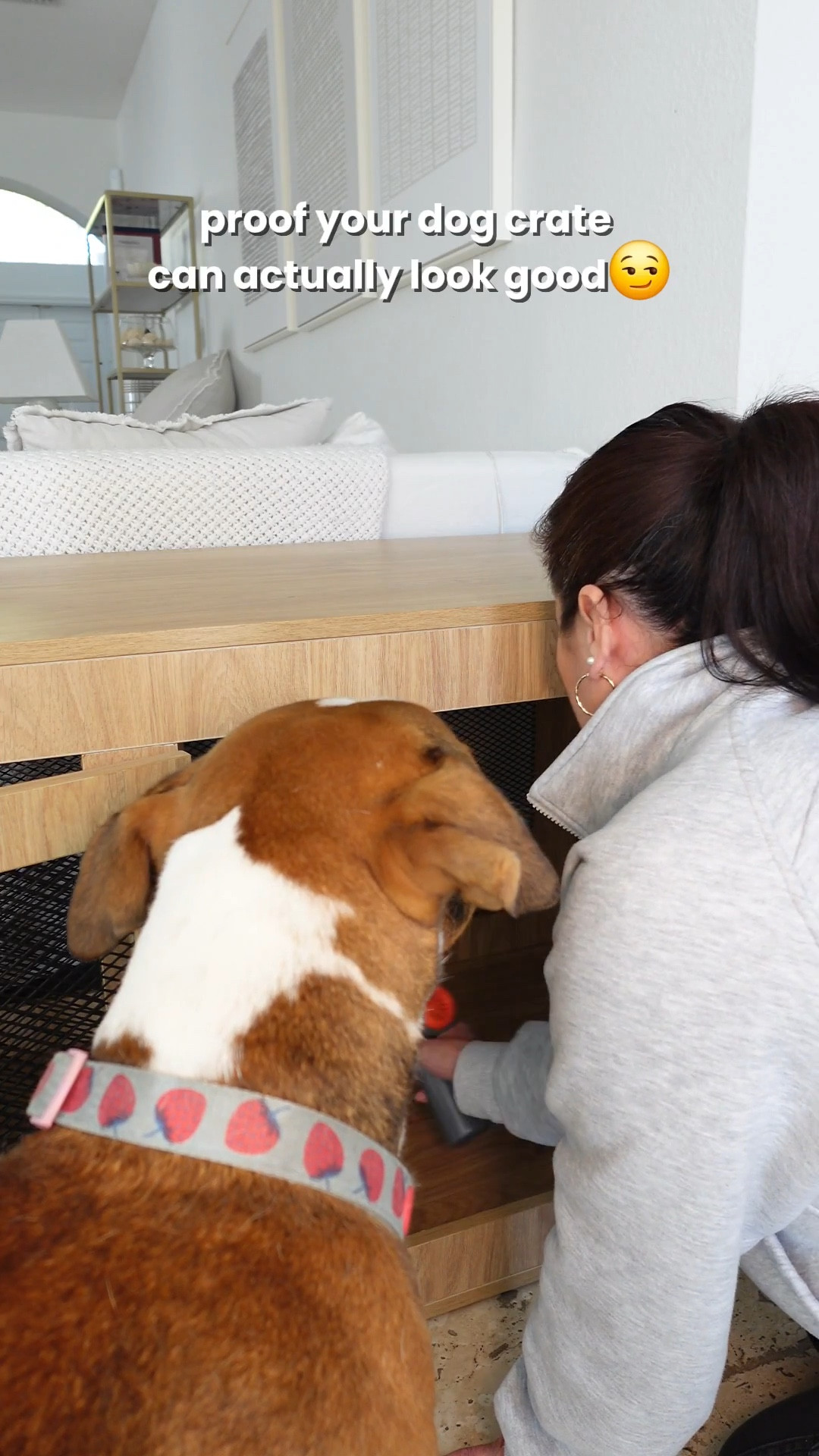 Dog crate that are actually cute! 

#LTKSaleAlert #LTKHome