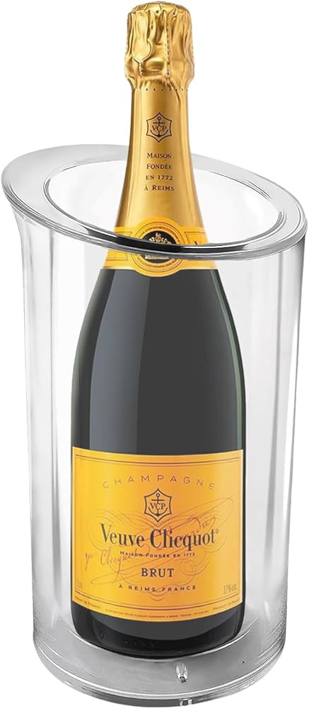TenTen Labs Wine Chiller - Wine Bottle Cooler - Champagne Bucket Chiller for Parties - Wine Coole... | Amazon (US)