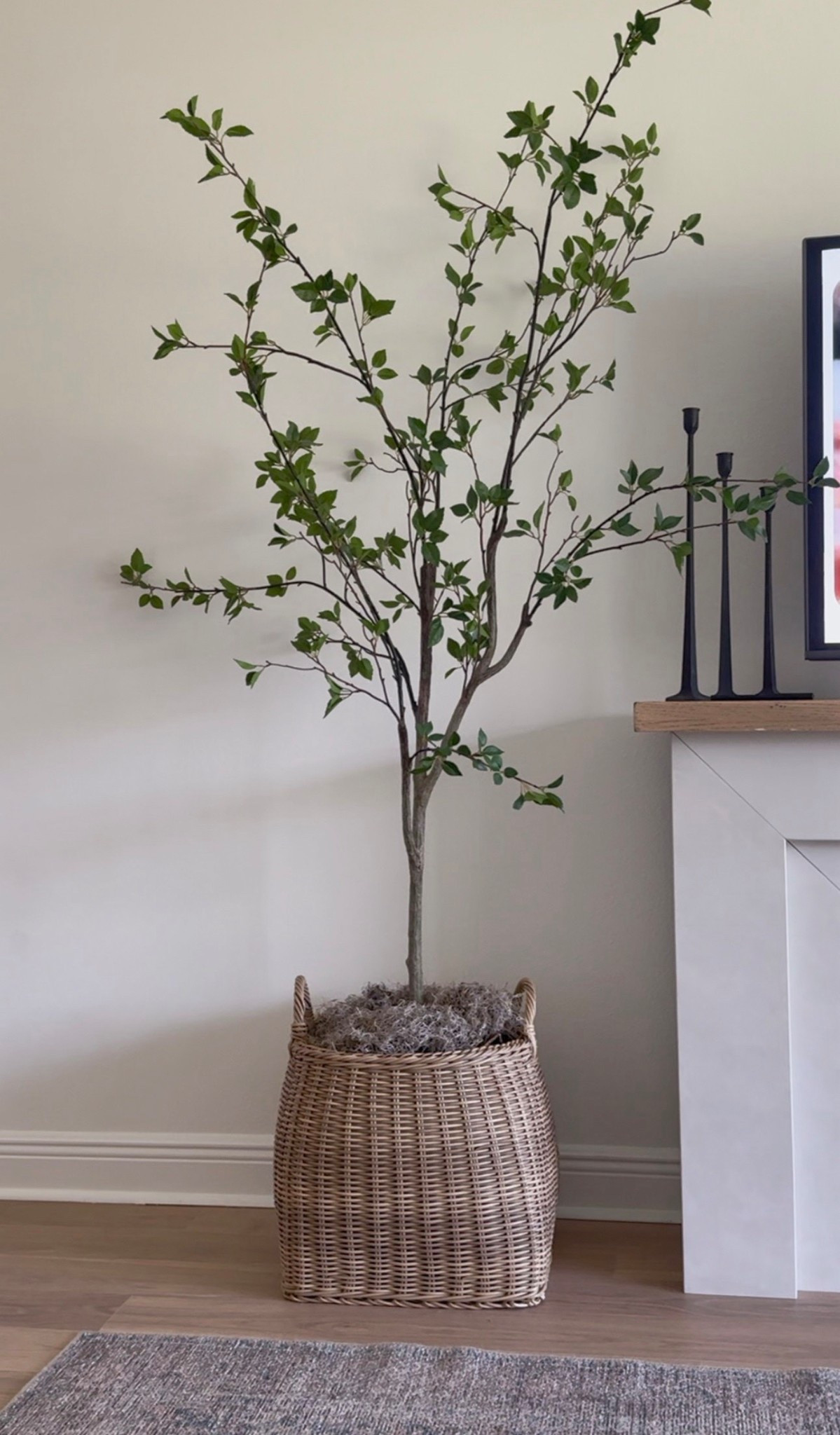 My favorite tree is back in stock!! 

#LTKSeasonal #LTKHome #LTKSaleAlert