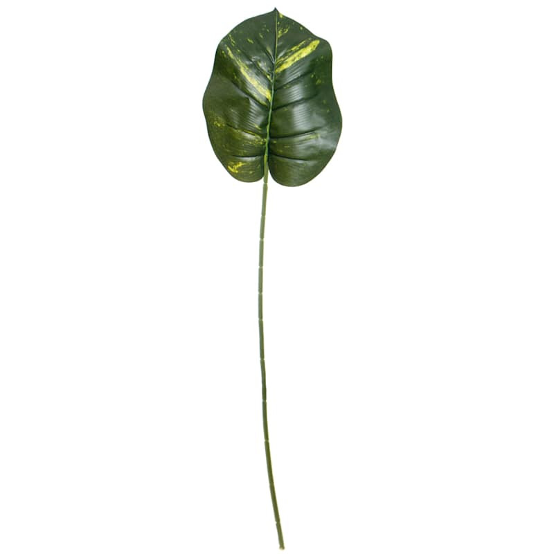 Philodendron Stem, 35" | At Home