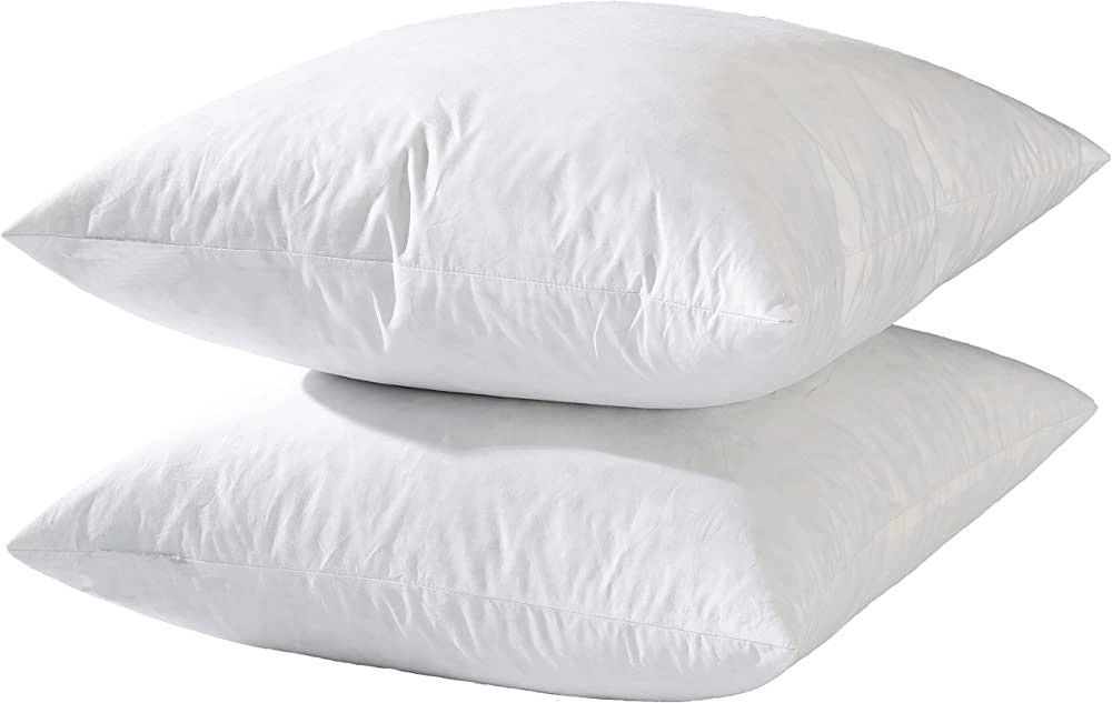 Basic Home 20x20 Decorative Throw Pillow Inserts-Down Amazon Home Decor Finds Amazon Favorites | Amazon (US)
