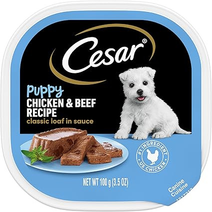 CESAR Puppy Soft Wet Dog Food Classic Loaf in sauce Chicken & Beef Recipe, 3.5 Ounce (Pack of 24)... | Amazon (US)