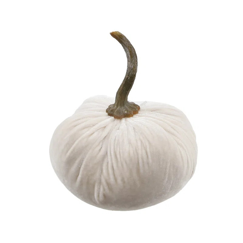 Velvet Pumpkin Decorative Accent | Wayfair North America