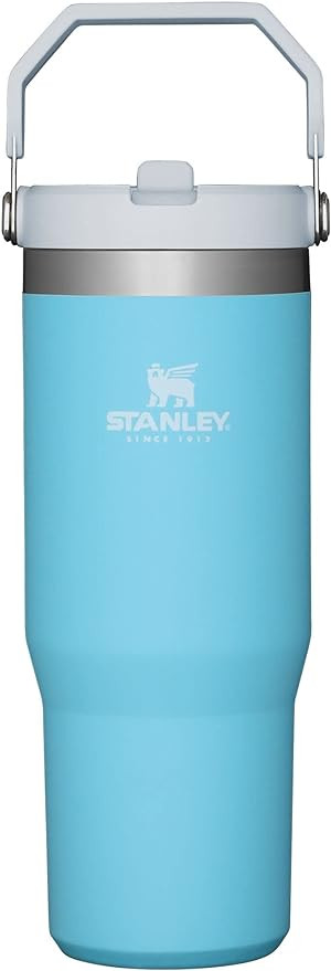Stanley IceFlow™ Stainless Steel Reusable Tumbler with Straw | Amazon (US)