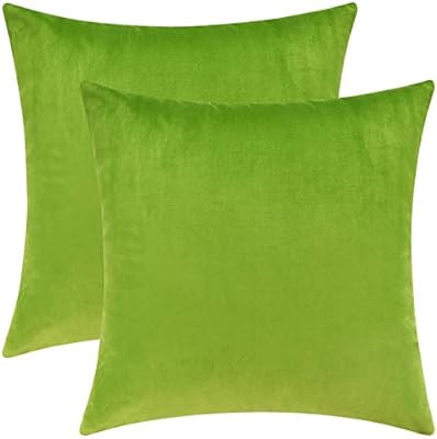 Mixhug Set of 2 Cozy Velvet Square Decorative Throw Pillow Covers for Couch and Bed, Chartreuse, ... | Amazon (US)