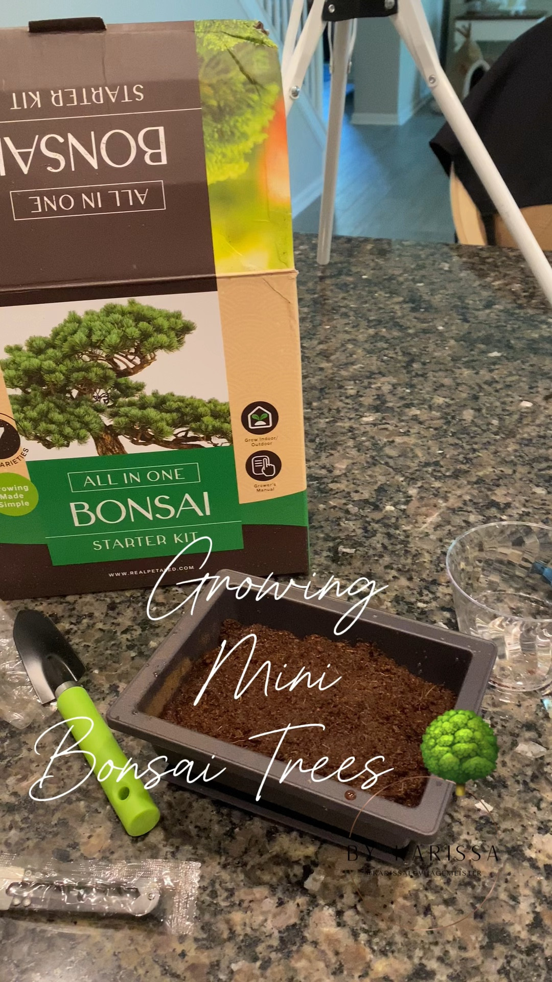 Growing Bonsai Trees 🌳 
💖 this little kit comes with enough of all you need to grow 7 different kinds of bonsai trees
😊 it gives a very detailed booklet to be successful 

#LTKVideo #LTKFindsUnder50 #LTKHome