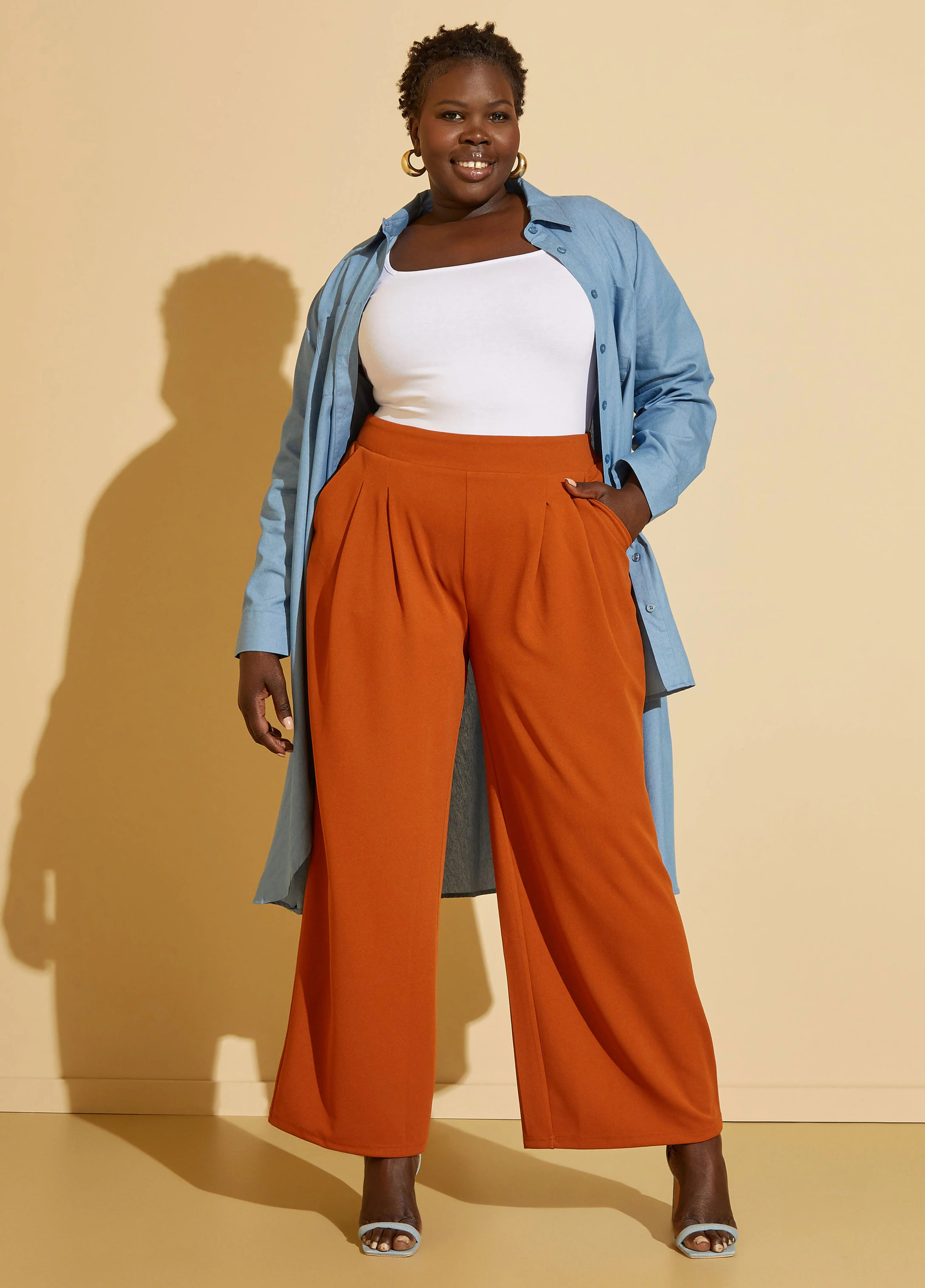 Pleated Wide Leg Trousers | Ashley Stewart