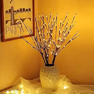 Amazon.com: EAMBRITE 3PK 30" Brown Lighted Twig Branches Pathway Light 60 LED Warm White Bulbs fo... | Amazon (US)