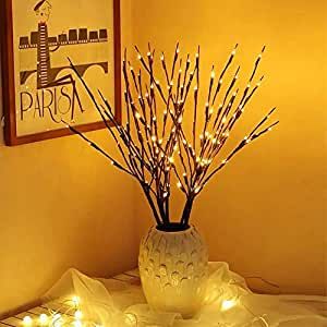 Amazon.com: EAMBRITE 3PK 30" Brown Lighted Twig Branches Pathway Light 60 LED Warm White Bulbs fo... | Amazon (US)