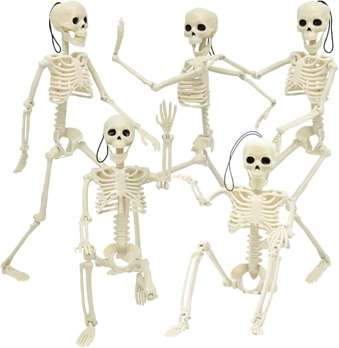 CAMIRUS 5PACK Halloween Skeleton Decorations, 16" Full Body Mini Skeletons with Poseable Joints f... | Amazon (US)