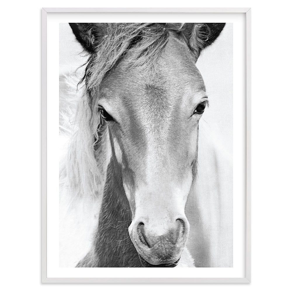 Minted® Wild and Free Framed Art | Pottery Barn Teen