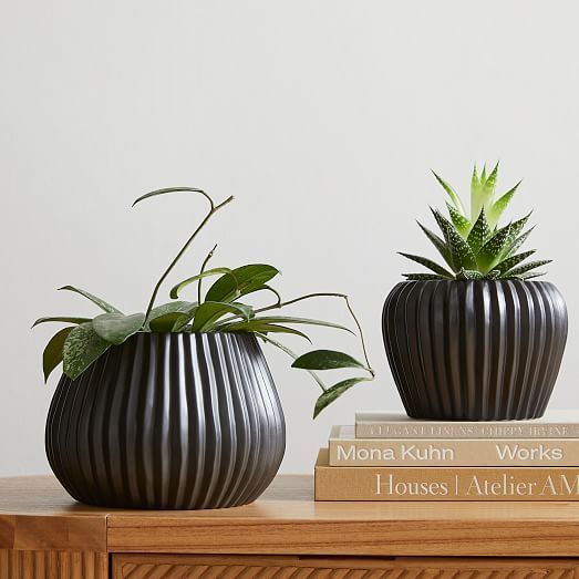 Sanibel Ceramic Tabletop Planters | West Elm (US)