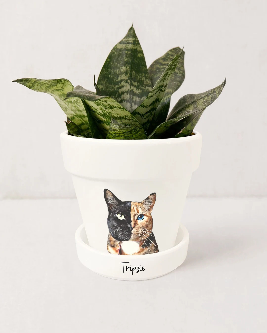 Cat Portrait Custom Planter Cat Lover Gifts Personalized Gift for Cat Mom Pet Loss Gifts Cat Plan... | Etsy (US)