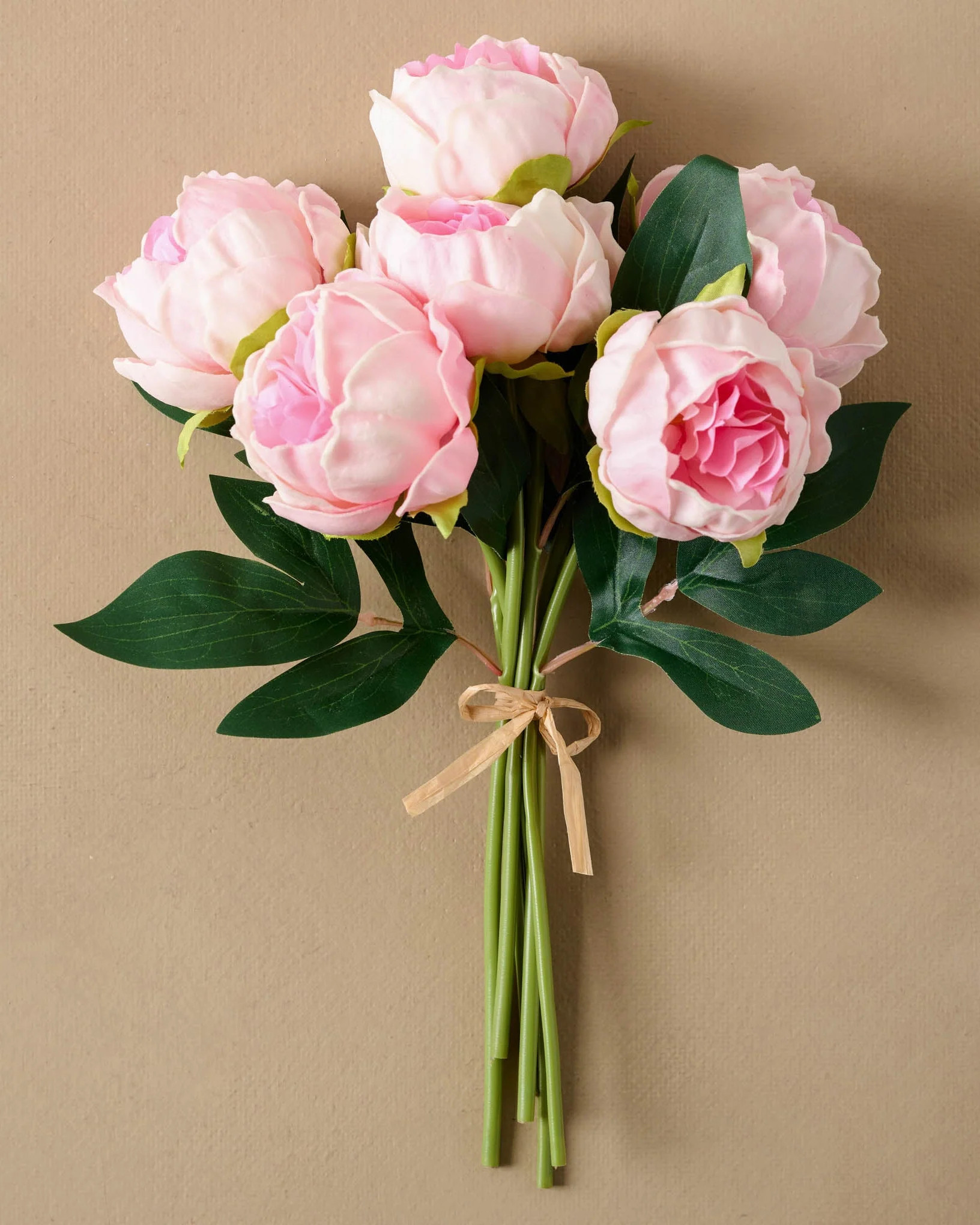 Peony Bundle | Magnolia