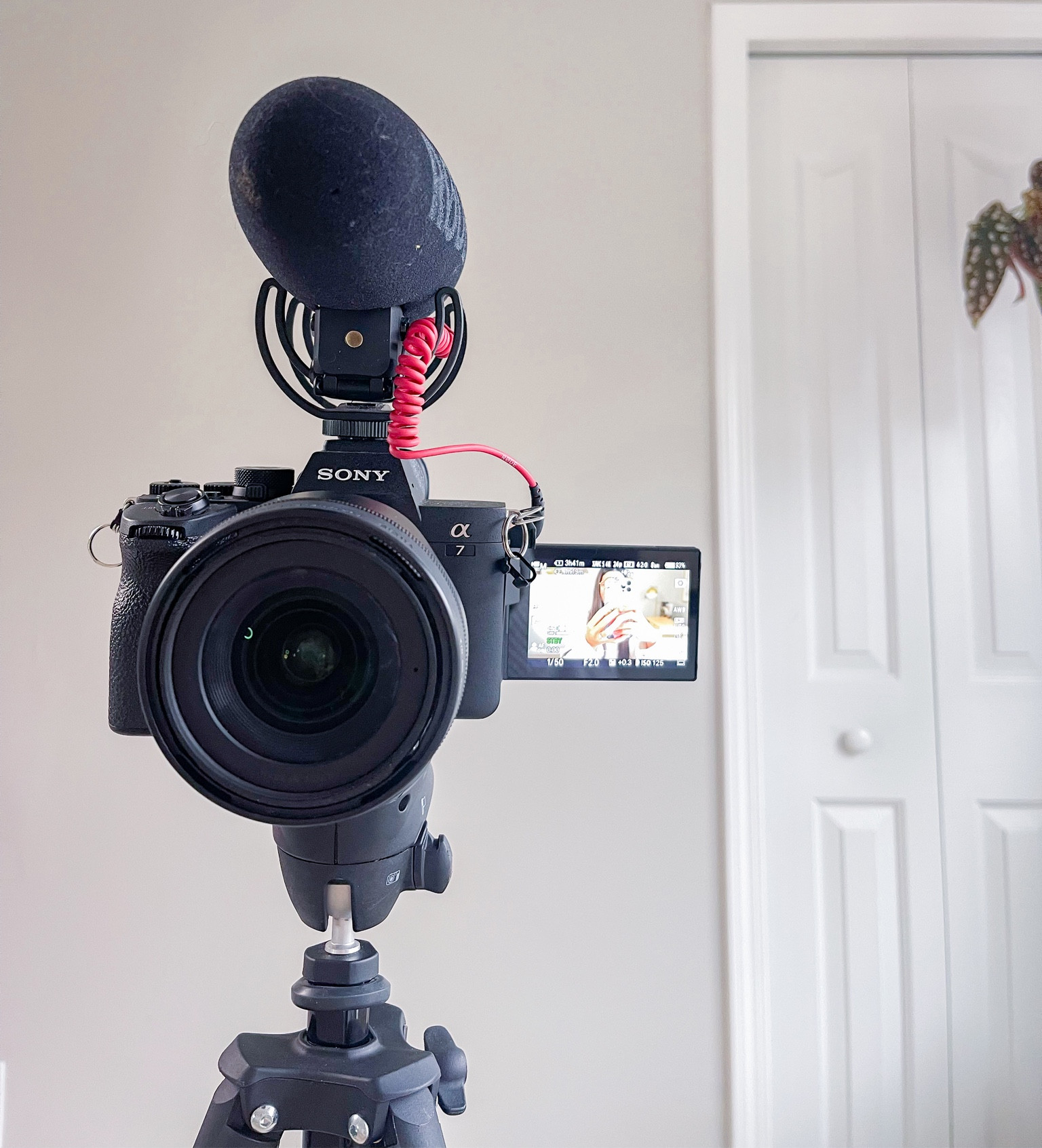 My 4K setup for filming sit down YouTube videos! 