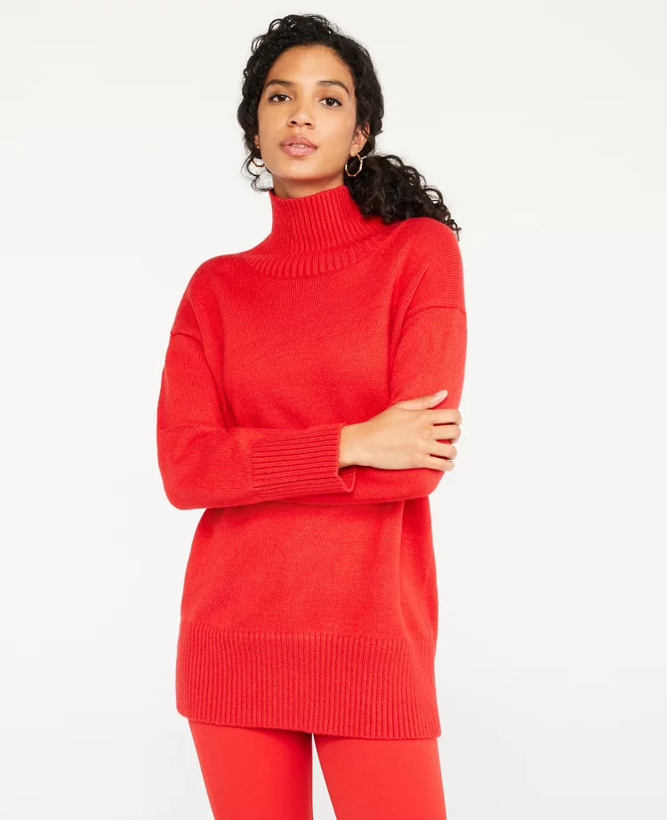 Turtleneck Tunic Sweater | Ann Taylor (US)