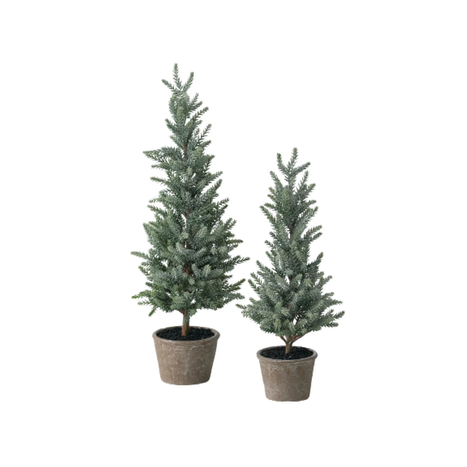 Potted Tree Set | Brooke & Lou | Brooke and Lou