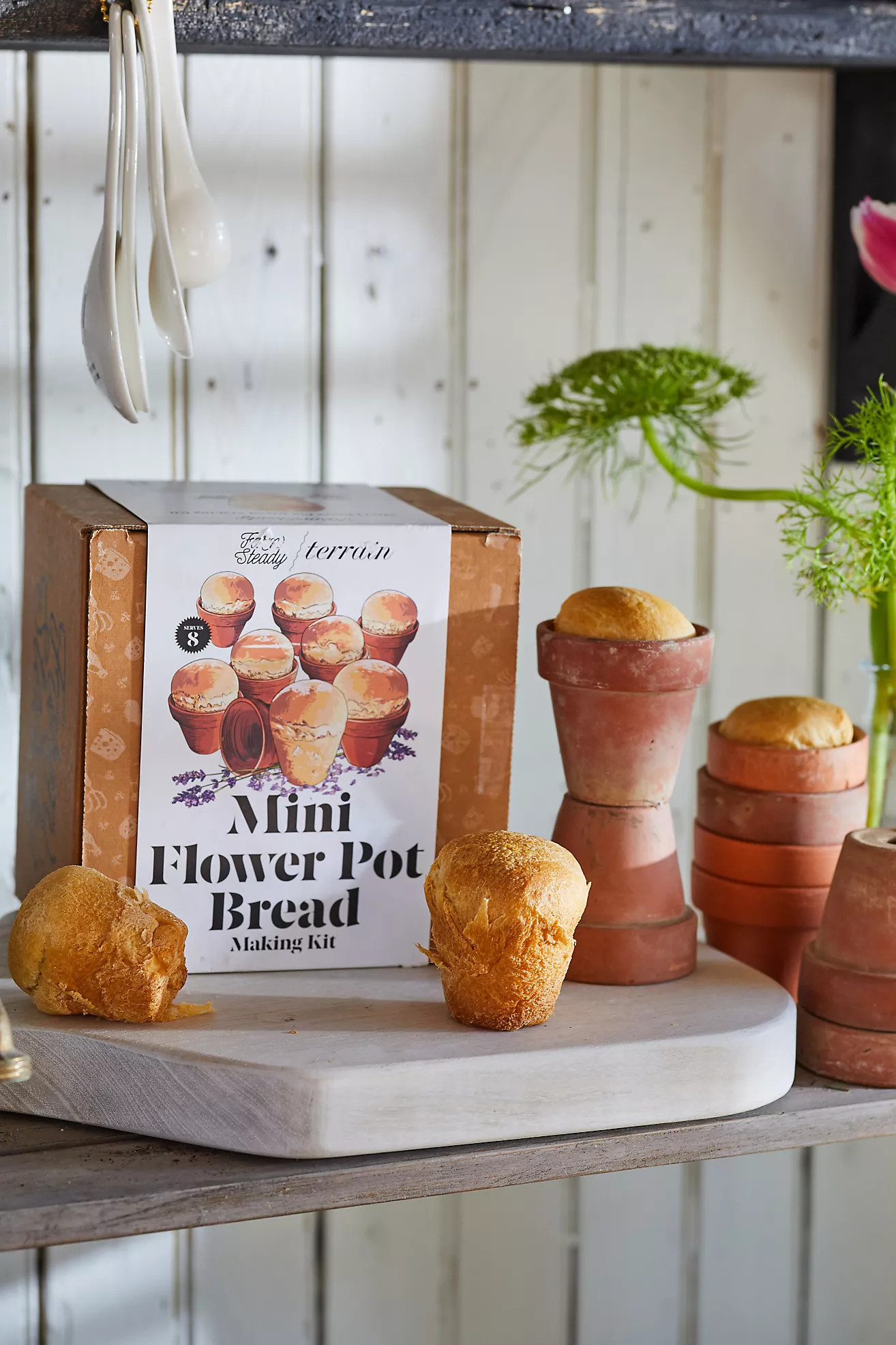 Mini Flower Pot Bread Kit, Set of 8 | Terrain