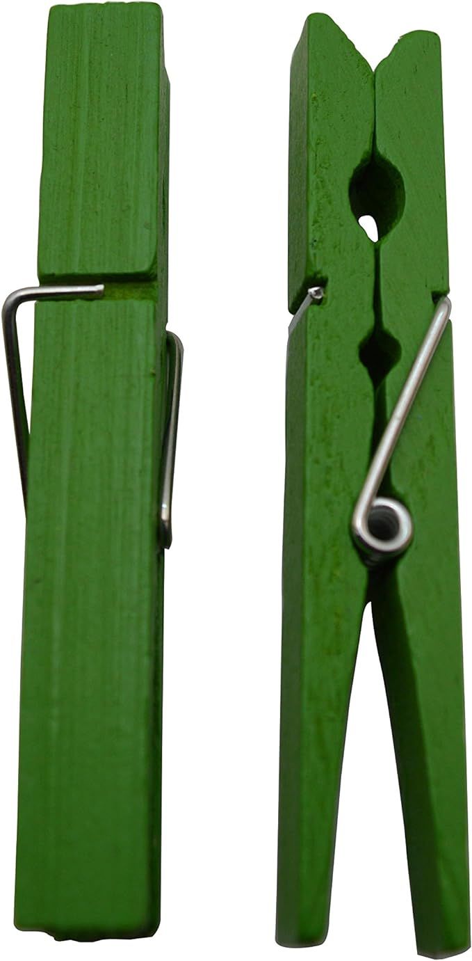 Wood Craft Clothespins Laundry Peg with Spring 2.9" Color Green Pack of 25 | Amazon (US)