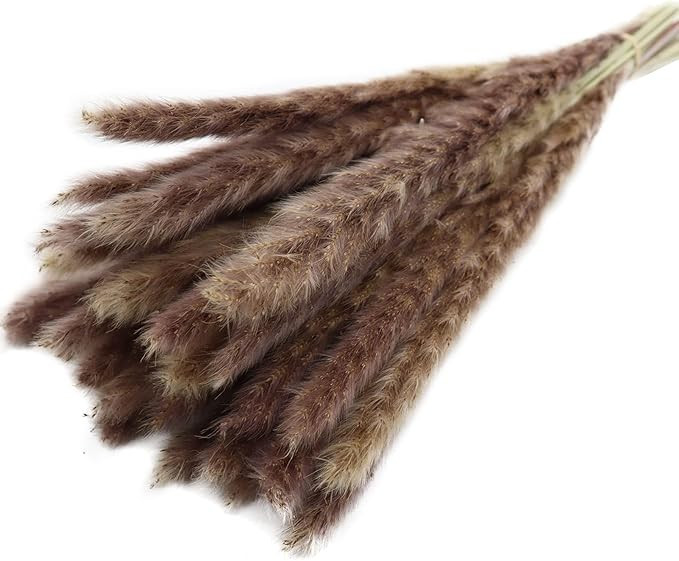30Pcs Dried Pampas Grass Natural Dried Bundle 17" (43cm) for Home Decorations Wedding Decoration ... | Amazon (US)