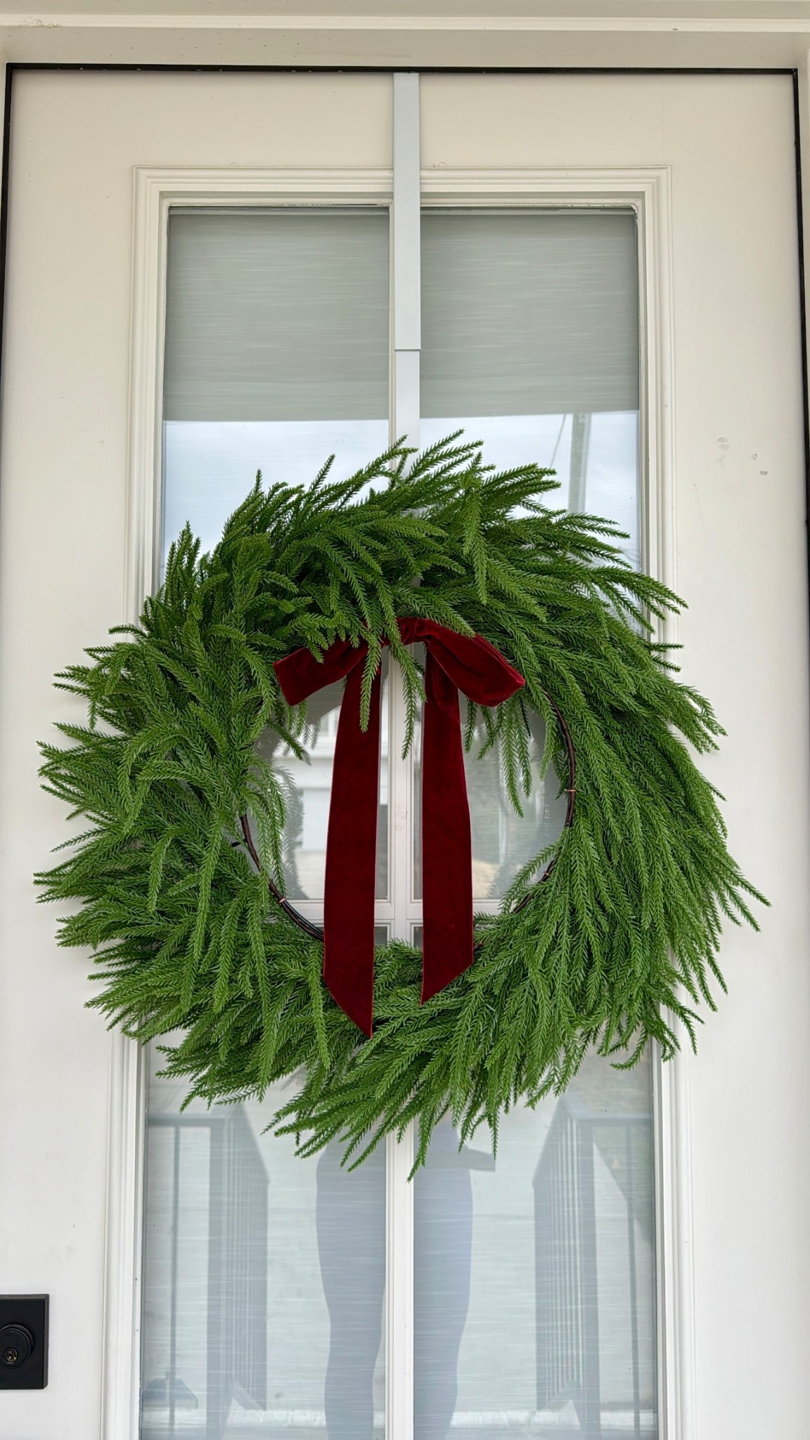 The perfect Norfolk Pine Christmas wreath for your front door!

#LTKCyberWeek #LTKFindsUnder100 #LTKHoliday