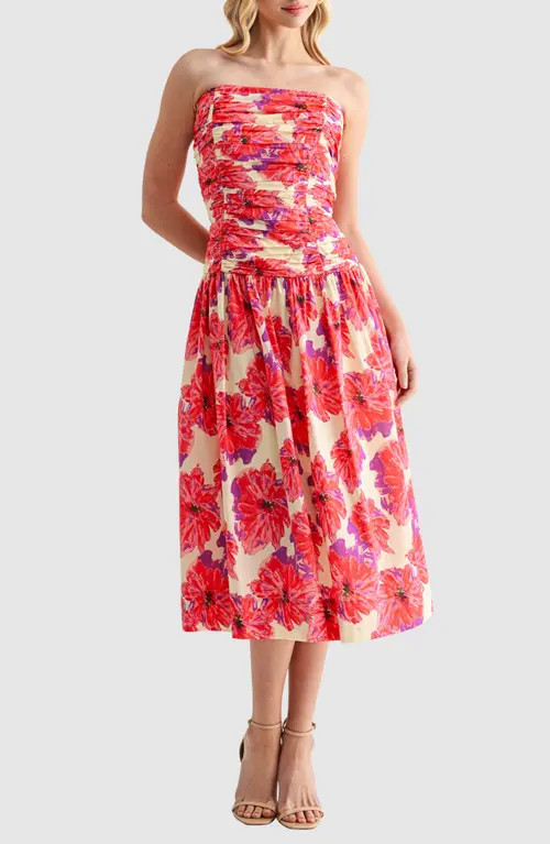 All in Favor Floral Strapless Cotton Midi Dress at Nordstrom, Size X-Small | Nordstrom