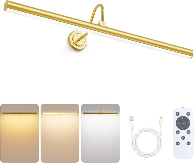 Bridika Picture Lights for Wall Battery Operated, 23.6in Picture Light with Remote, 3 Color Modes... | Amazon (US)