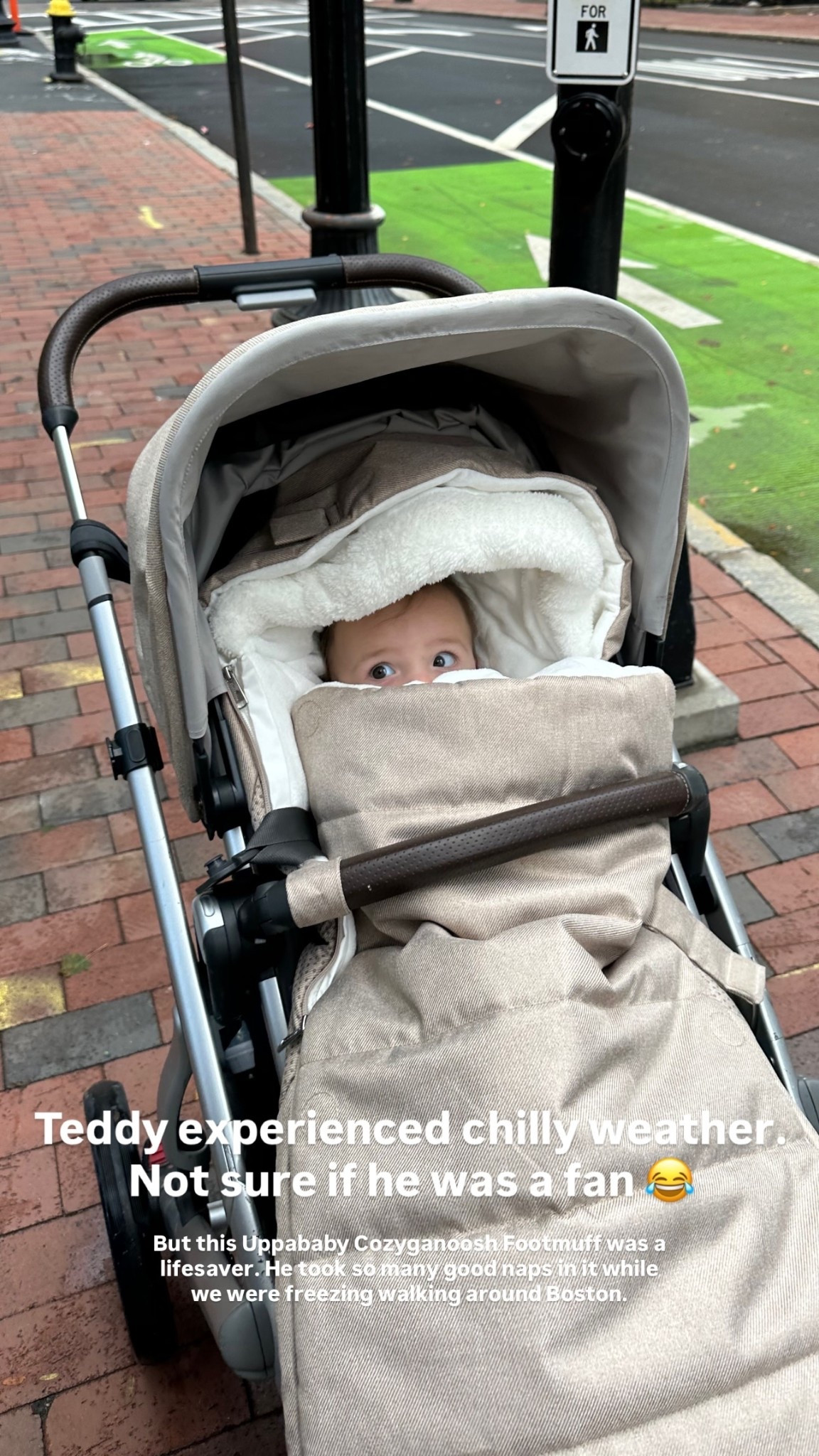 This Uppababy Cozyganoosh Footmuff was a lifesaver. He took so many good naps in it while we were freezing walking around Boston.

Color is Declan (to match our stroller!)

#LTKHoliday #LTKmomlife #LTKGiftGuide