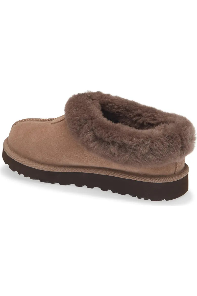 Tazzette Genuine Shearling Collar Slipper (Women) | Nordstrom | Nordstrom