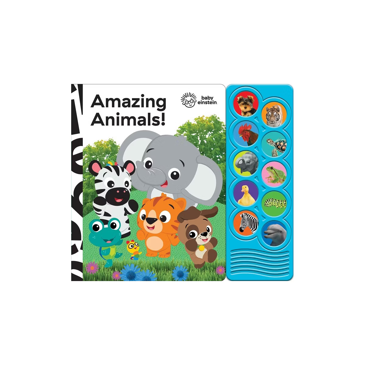 Baby Einstein Amazing Animals 10 Button Sound Book (Board Book) | Target