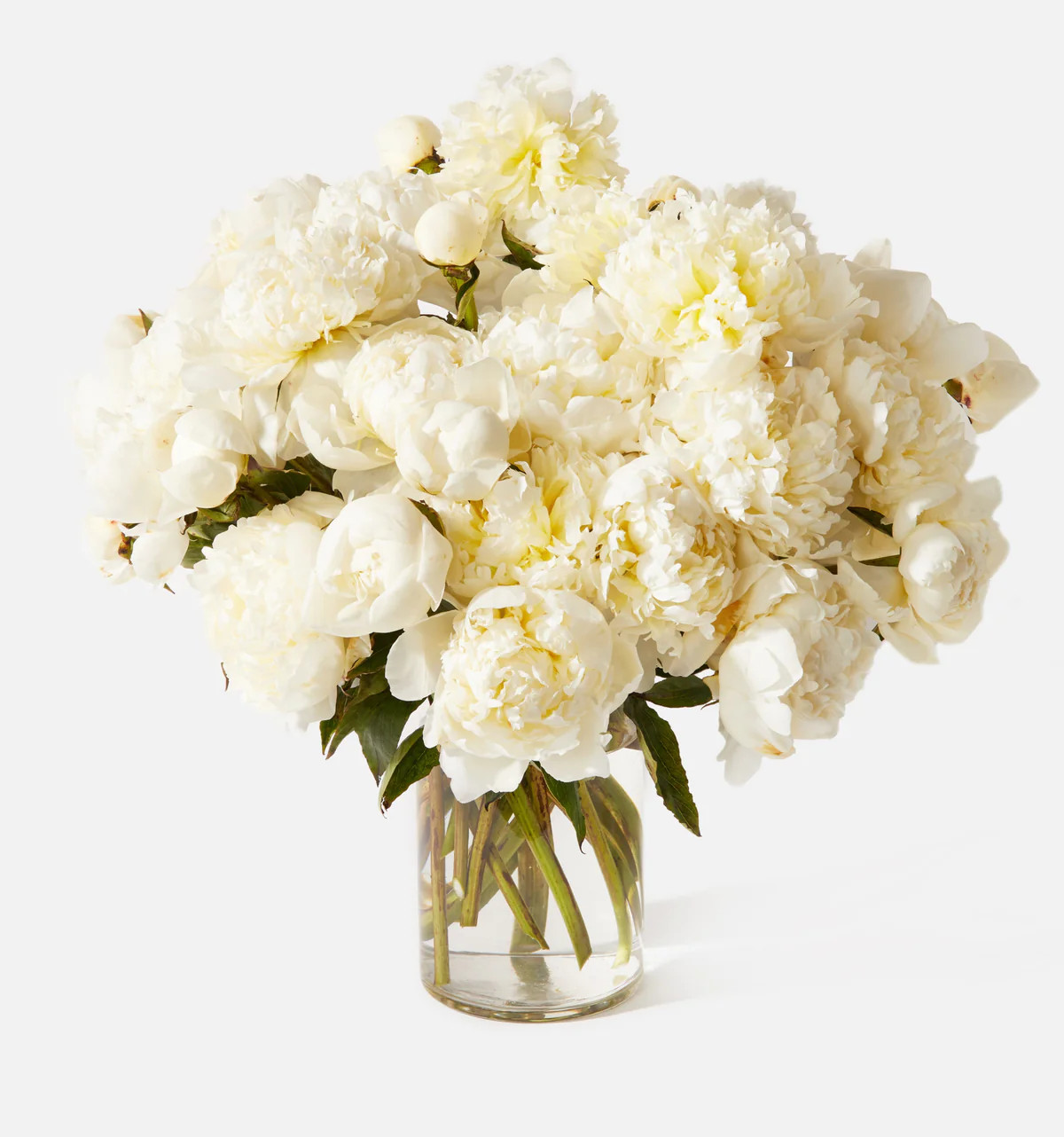 Triple the Pearl | UrbanStems