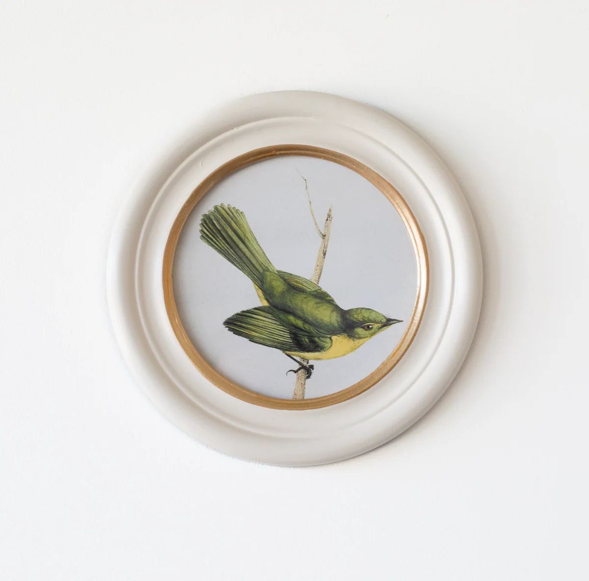 Round Bird Print 6 | Stoffer Home