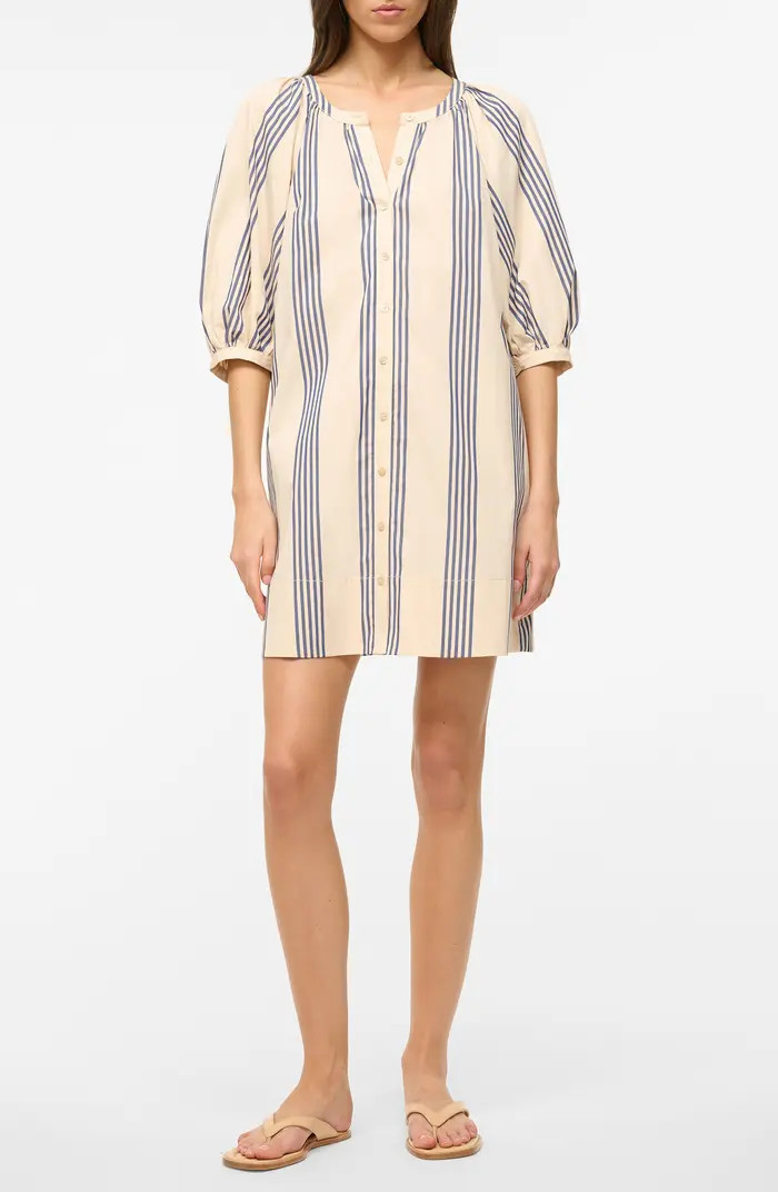 Vincent Stripe Shirtdress | Nordstrom