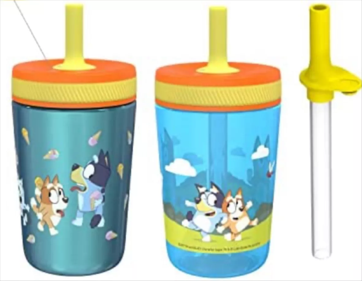 Bluey Sippy Cup Tumbler Travel Cup Gift for Her Christmas 