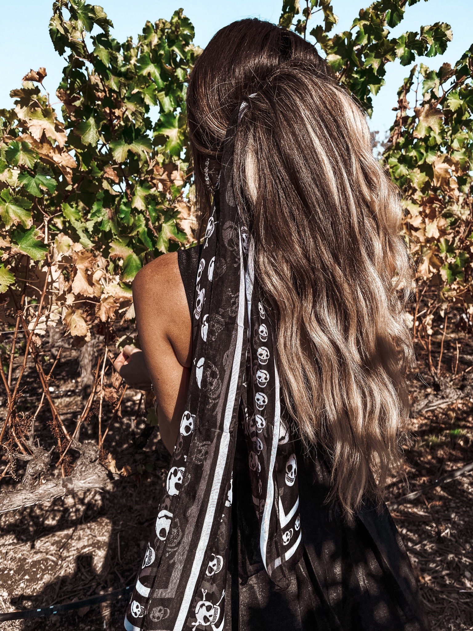 Halloween skull scarf 

#LTKFindsUnder50 #LTKHalloween #LTKSeasonal