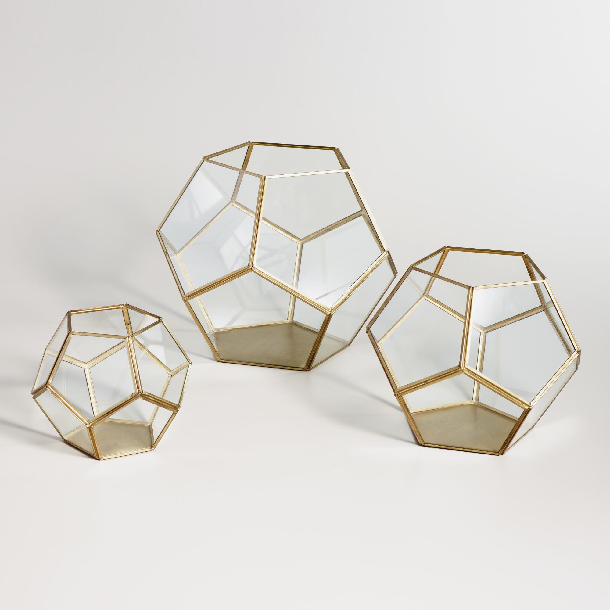 Brass Geo Terrarium: Metallic - Glass  - Small by World Market Small | World Market