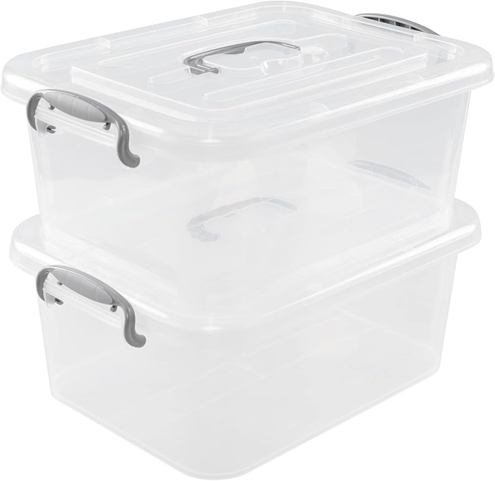 Ortodayes Clear Storage Boxes with Lids, 8 Liter Storage Bins Set of 2 | Amazon (US)